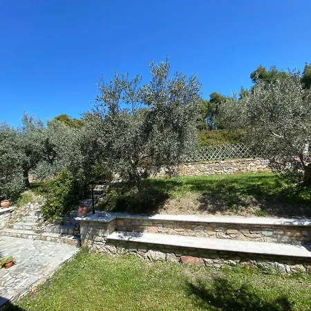 Dreaming Trees Maisonette Sani (Chalkidiki)