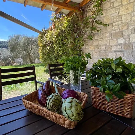 فيلة Dreaming Trees Maisonette