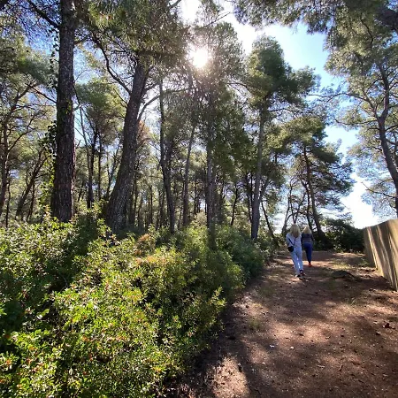 فيلة Dreaming Trees Maisonette