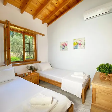 Dreaming Trees Maisonette باراليا ساني