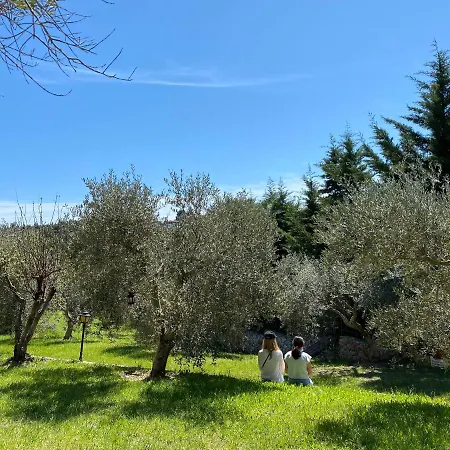 Dreaming Trees Maisonette فيلة باراليا ساني